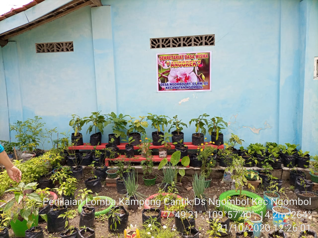 PERSIAPAN LOMBA KAMPUNG CANTIK DESA NGOMBOL