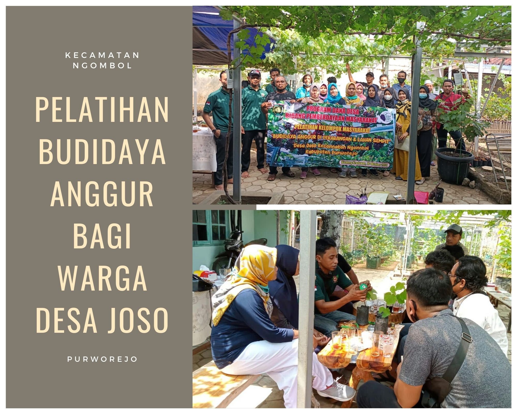 PELATIHAN BUDIDAYA ANGGUR BAGI WARGA DESA JOSO