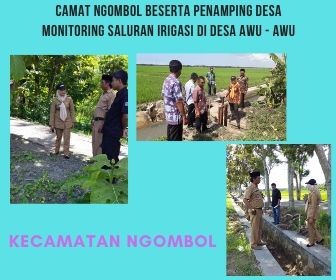 CAMAT NGOMBOL DAN PENDAMPING MONITORING FISIK DI DESA AWU -AWU