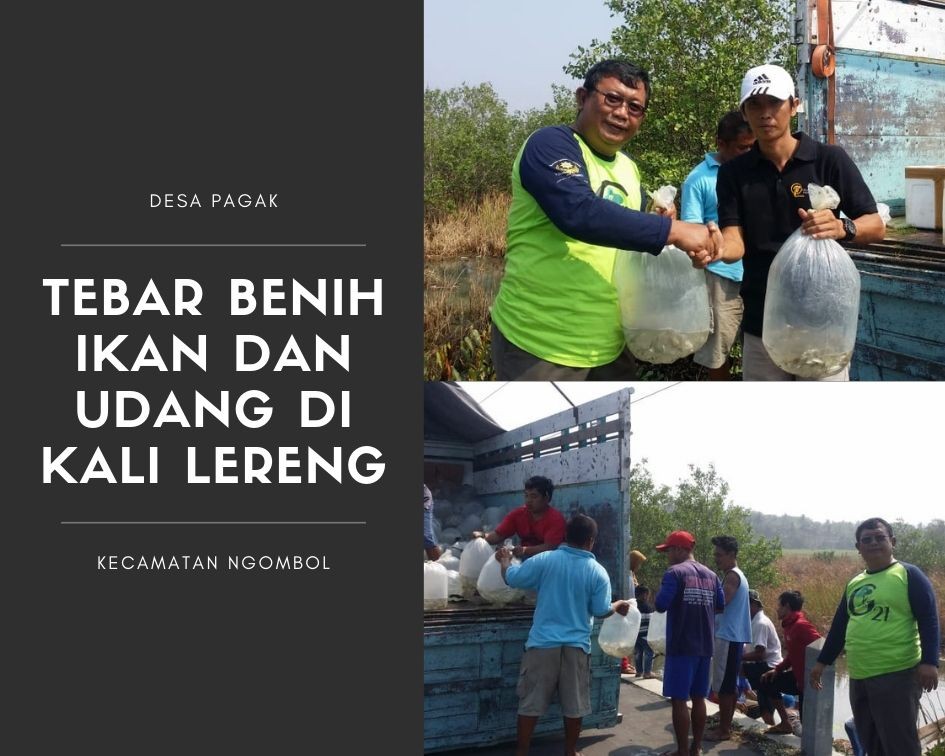 TEBAR BENIH IKAN DAN UDANG DI KALI LERENG