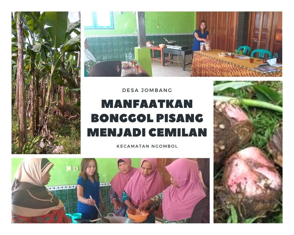 MANFAATKAN BONGGOL POHON PISANG MENJADI CEMILAN