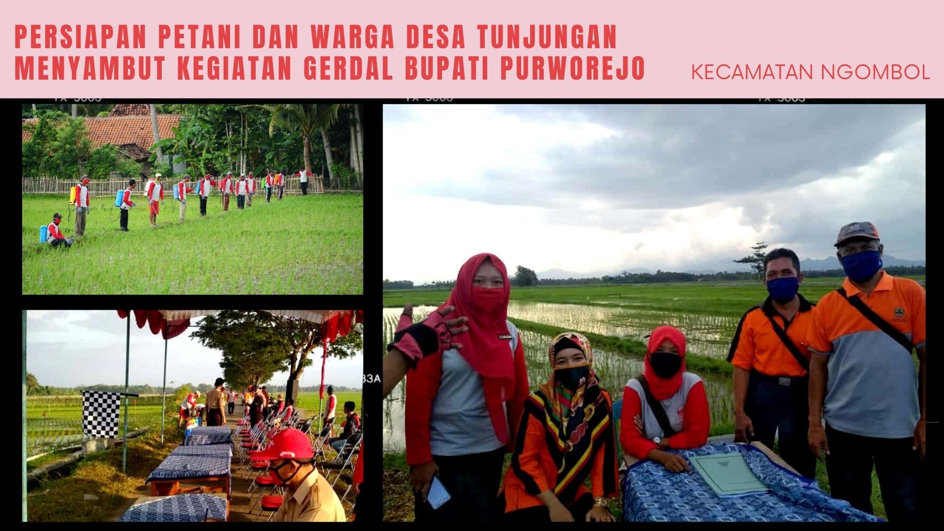 PERSIAPAN PETANI DAN WARGA DESA TUNJUNGAN MENYAMBUT KEGIATAN GERDAL BUPATI PURWOREJO