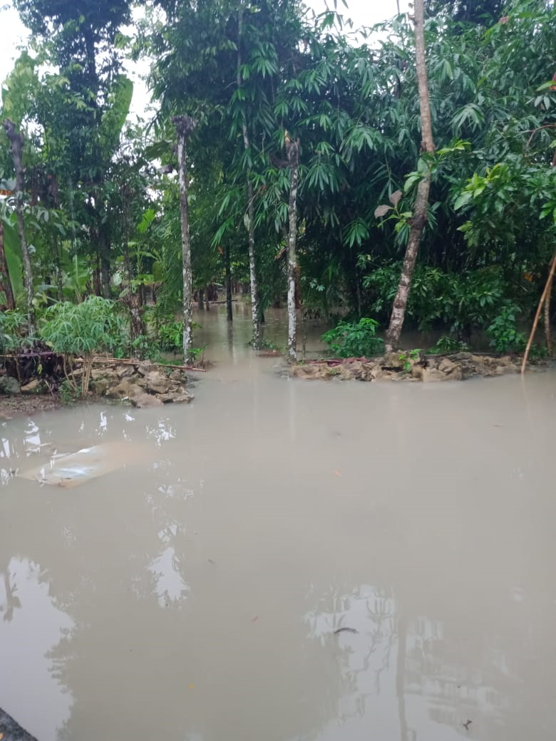 AKIBAT CURAH HUJAN TINGGI MENGAKIBATKAN BANJIR DI DESA WINGKOSANGGRAHAN