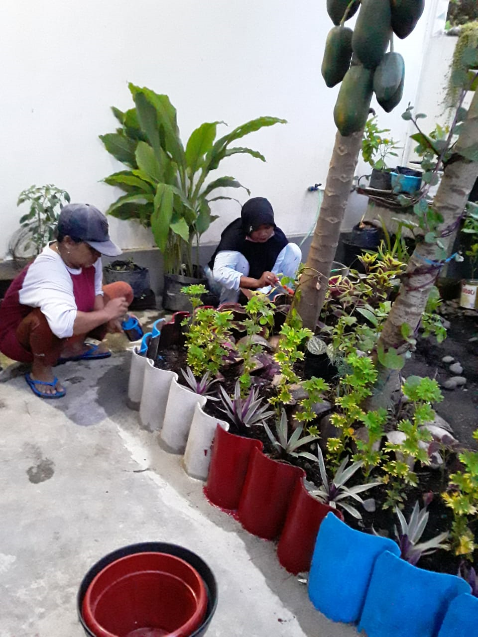 PERSIAPAN LOMBA TAMAN PKK DI DESA KLANDARAN