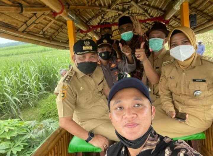 BUPATI PURWOREJO NAIK KERETA SAPI