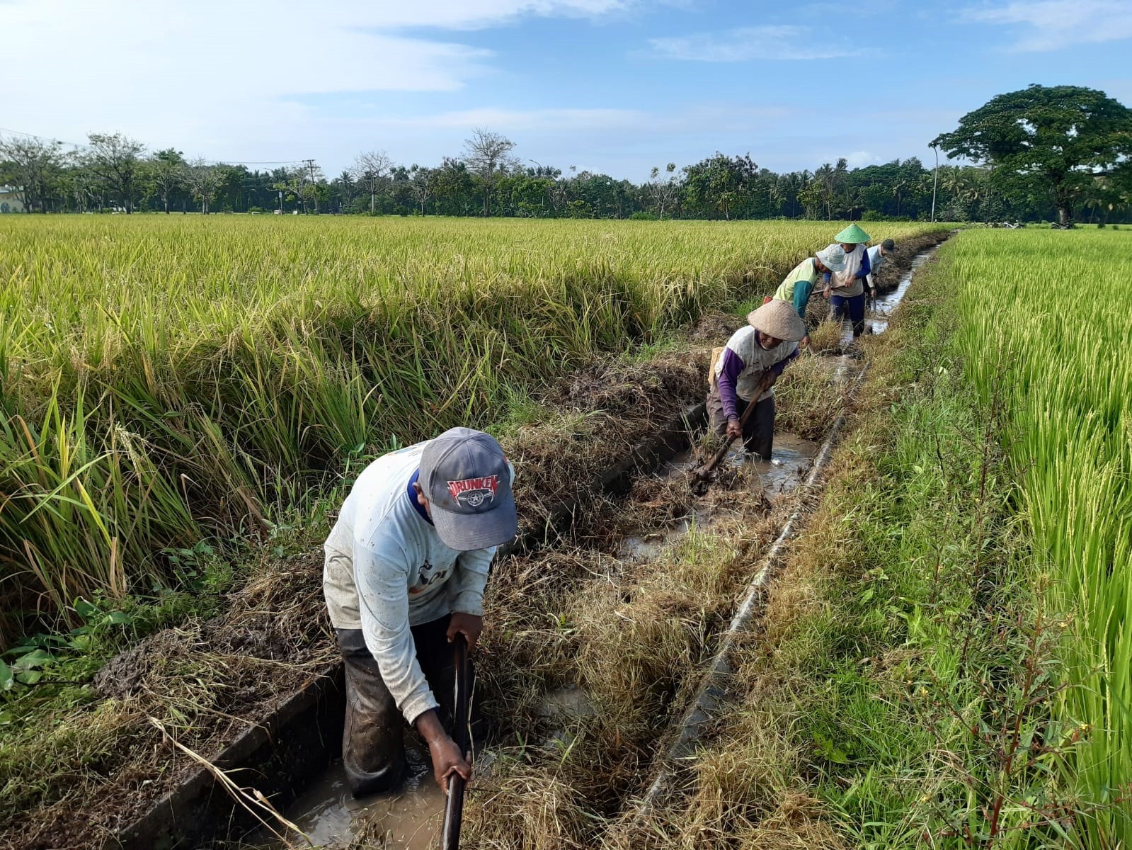 PKTD DESA LABAN