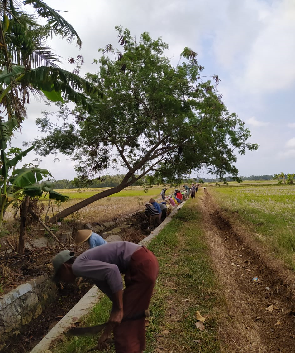 PKTD DESA RASUKAN