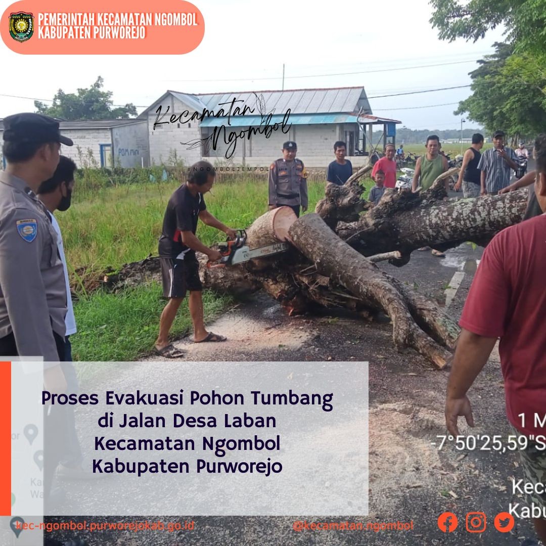 Proses Evakuasi Pohon Tumbang di Desa Laban