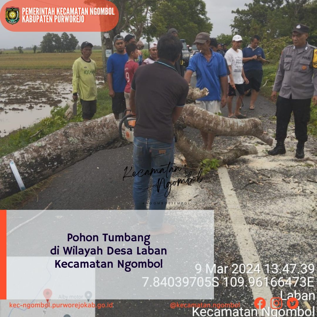 Pohon Tumbang di Wilayah Desa Laban Kecamatan Ngombol