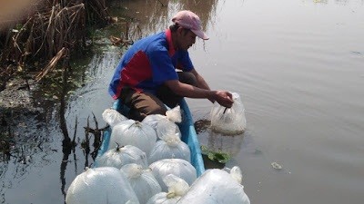 TEBAR BENIH IKAN DAN UDANG DI SUNGAI WUNUT